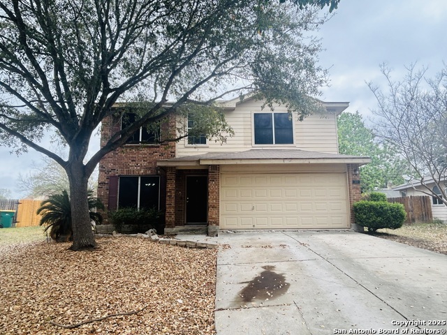 31031 Panther dr