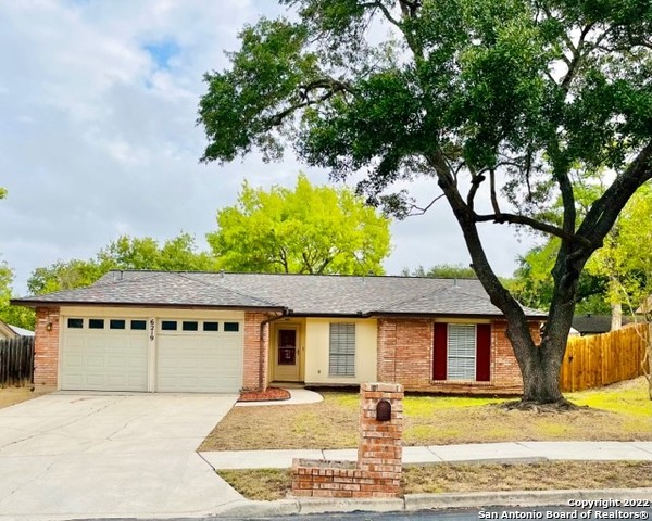 31031 Panther dr